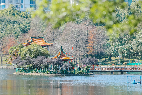 驚蟄｜春雷煥蟄蟲，花開萬(wàn)物新