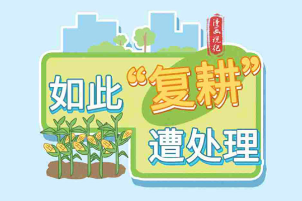 漫畫(huà)說(shuō)紀(jì)｜如此“復(fù)耕”遭處理
