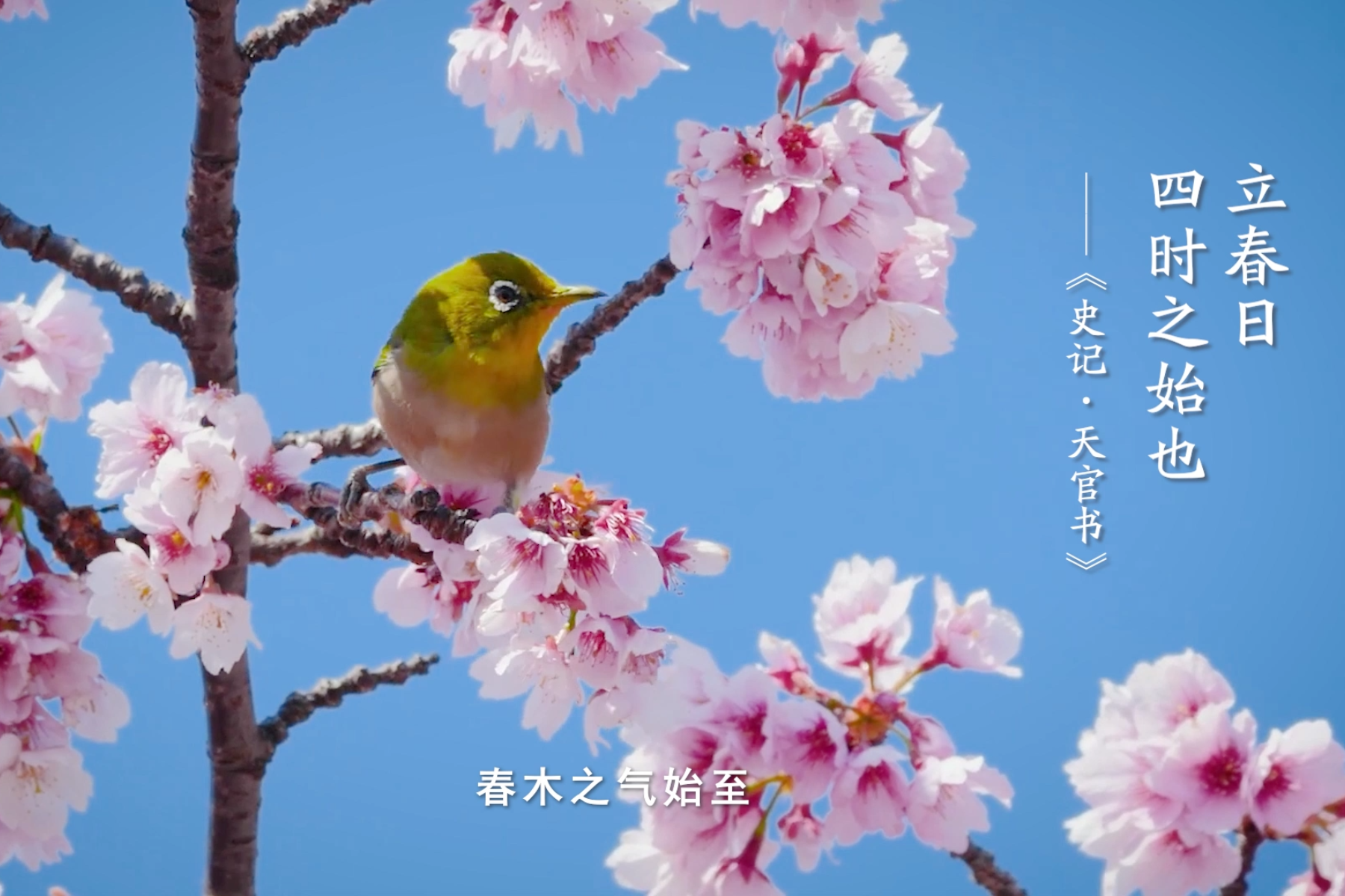 清風·傳承｜立春：天道酬勤 不負春光