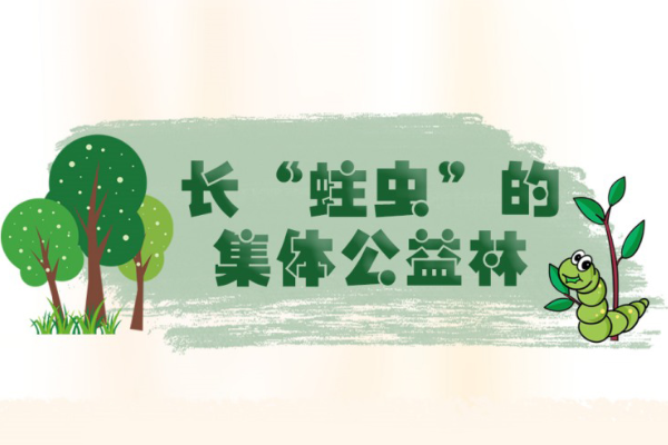 漫畫說紀｜長“蛀蟲”的集體公益林