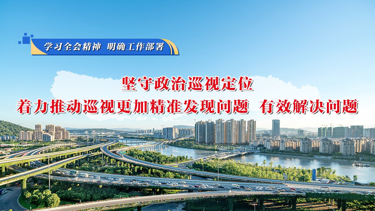 學習全會精神 明確工作部署⑤堅守政治巡視定位，著力推動巡視更加精準發現問題、有效解決問題