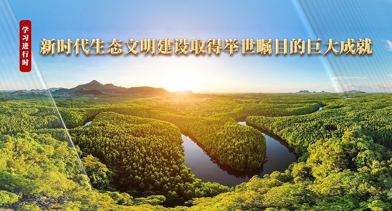 學習進行時丨新時代生態文明建設取得舉世矚目的巨大成就