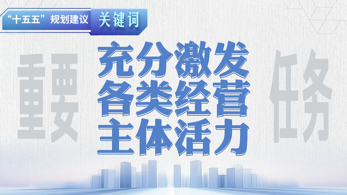 “十五五”規(guī)劃建議關(guān)鍵詞丨充分激發(fā)各類經(jīng)營主體活力