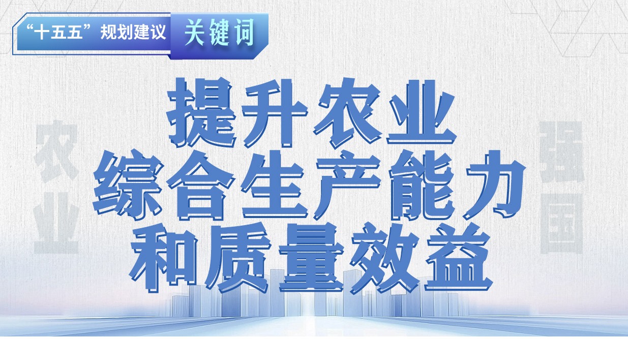 “十五五”規(guī)劃建議關(guān)鍵詞丨提升農(nóng)業(yè)綜合生產(chǎn)能力和質(zhì)量效益