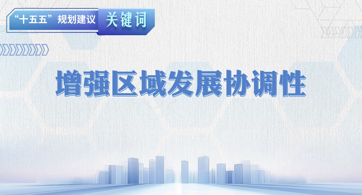 “十五五”規(guī)劃建議關(guān)鍵詞丨增強(qiáng)區(qū)域發(fā)展協(xié)調(diào)性
