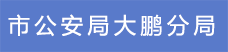 14.市公安局大鵬分局.png
